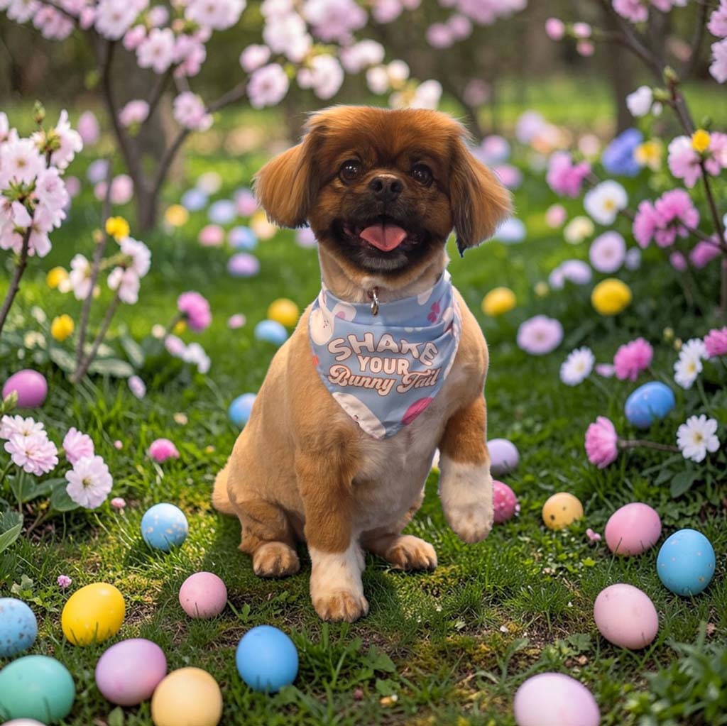 March 26 1 Shaggy Chic Grooming Boutique Golden Retriever Client